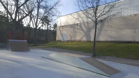 skate1