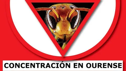 cartaz web concentracion ourense 04_04_19