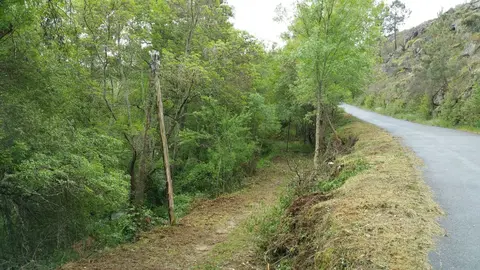 Primeros desbroces en el camino de acceso al balneario de Requeixo (Monterrei).