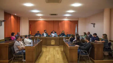 plenoorganizativo