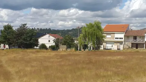 arasela
