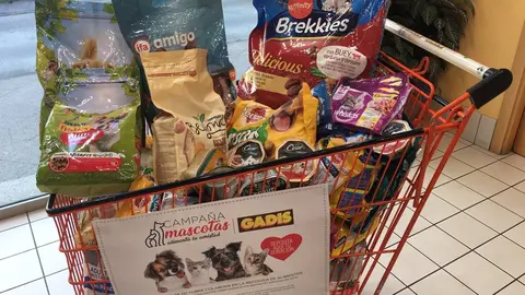 GADIS CAMPA&Ntilde;A PROTECTORA ANIMALES 2