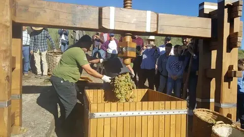 O lagar de Xan Petro volver&aacute; a recrear as vellas tradici&oacute;ns da vendima.