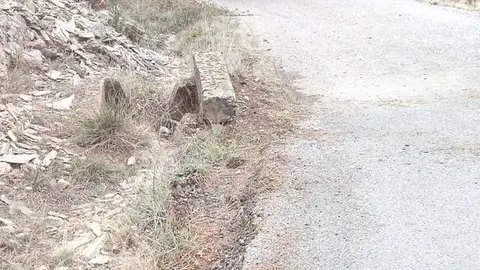 cami&oacute;n3