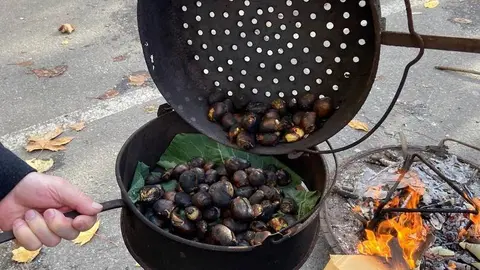 castana