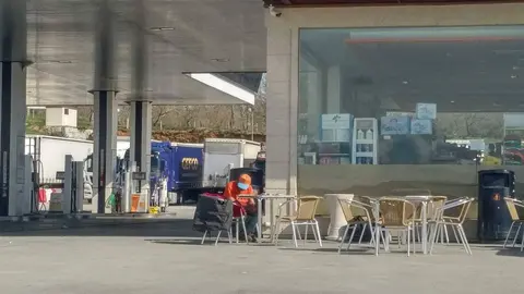 O curioso inquilino que hoxe amenceu na estaci&oacute;n de servizo "O viaxeiro", en Ri&oacute;s. | FOTO: Xos&eacute; Lois Colmenero.