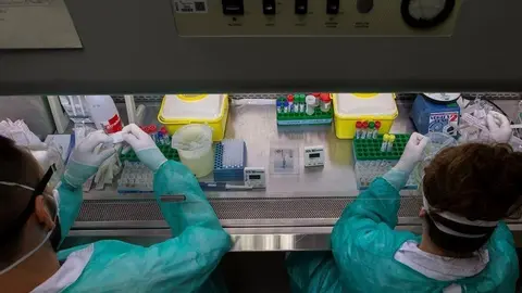 Ver&iacute;n desciende, una jornada m&aacute;s, en el n&uacute;mero de casos activos de coronavirus.