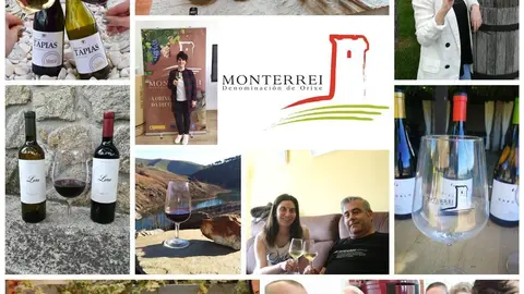 Bodegas, catadores, personal t&eacute;cnico y la presidenta del C.R.D.O. Monterrei, Lara Da Silva, brindano por el vino de Denominaci&oacute;n. | FOTO: D. O. Monterrei.