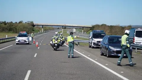 trafico