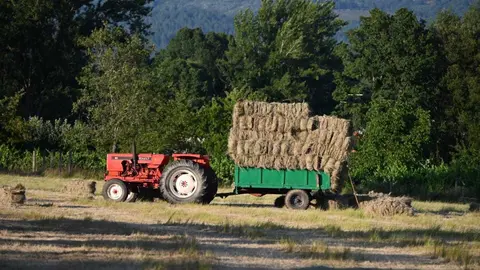 O tractor do que se precipitou a veci&ntilde;o de Castrelo. | FOTO: Noelia Caseiro.