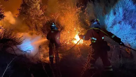 La Unidad Militar de Emergencias inici&oacute; sus misiones de madrugada en el Concello de Monterrei. | FOTO: UME.
