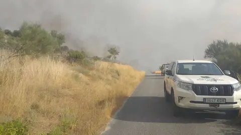 As brigadas de Medio Rural desprazadas na fronteira para actuar no incendio de Mairo. | FOTO: Xos&eacute; Lois Colmenero.