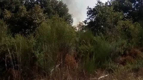 Un dos focos de onte pola noite v&eacute;n de reactivarse hai uns minutos en Santa Baia de Montes (Cualedro).