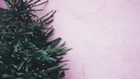  5 ideas sencillas para decorar tu &aacute;rbol de Navidad&nbsp;Black Friday Foto: Pexels 