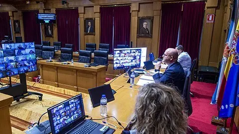Pleno ordinario correspondete &oacute; mes de novembro de 2020 que se fai telematicamente polas medidas Covid que a d&iacute;a de hoxe est&aacute;n en vigor. Asisten Manuel Baltar (Presidente Deputaci&oacute;n); Rosendo Fern&aacute;ndez (VicePresidente 1&ordm;); Armando Ojea Bouzo (VicePresidente 2&ordm;); Placido &Aacute;lvarez Doba&ntilde;o (VicePresidente 3&ordm;);Jorge Pumar (Deputado PPOU); Luz Doporto Real (Deputado PPOU); &Aacute;lvaro Jos&eacute; Fern&aacute;ndez L&oacute;pez (Deputado PPOU); Consuelo Vispo Seara (Deputado PPOU);Patricia Torres Madureira (Deputado PPOU); Cesar Fern&aacute;ndez Gil (Deputado PPOU); Pablo P&eacute;rez P&eacute;rez (Deputado PPOU); Ana Mar&iacute;a Villarino Pardo (Deputado PPOU); Miguel Antonio Cid &Aacute;lvarez (Deputado PPOU); Rafael Rodr&iacute;guez Villarino (Deputado PSOE); Jos&eacute; Ignacio G&oacute;mez P&eacute;rez (Deputado PSOE); Elvira Lama Fern&aacute;ndez (Deputado PSOE); Diego Fern&aacute;ndez Nogueira (Deputado PSOE); Susana Rodr&iacute;guez Est&eacute;vez (Deputado PSOE); Rosario Rodr&iacute;guez Delgado (Deputado PSOE); Margarita P&eacute;rez Fern&aacute;ndez (Deputado PSOE); &Aacute;lvaro Vila Araujo (Deputado PSOE); Aurentino Alonso Araujo (Deputado PSOE); Montserrat Lama Novoa (Deputado CS); Jose Miguel Caride Dom&iacute;nguez (Deputado DO); Bernardo Varela L&oacute;pez (Deputado BNG), M&oacute;nica Legaspi (Interventora Deputaci&oacute;n Ourense) e Juan Marquina (Secretario Deputaci&oacute;n Ourense).