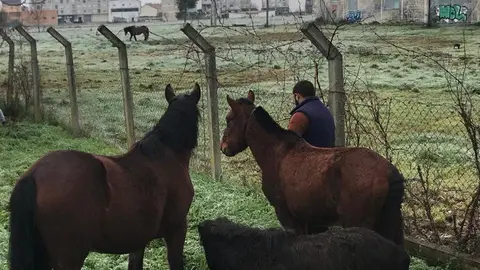 El propietario de los equipos, en el momento de recogerlos en el parque de Fontenova.