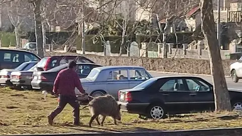 El propietario del jabal&iacute;, por las calles de Montalegre. | FOTO: Ana Pereira.