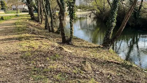 As&iacute; loce xa parte da ribeira do r&iacute;o T&aacute;mega ao seu paso por Ver&iacute;n. | FOTO: Carlos Montero.