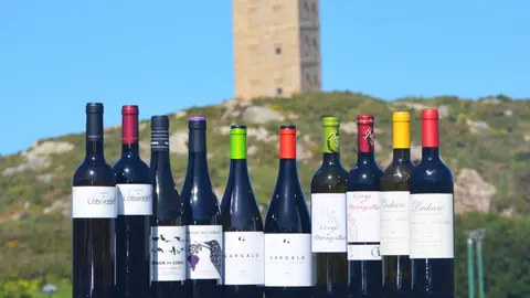 Vi&ntilde;os da D.O. Monterrei_TuneLACoru&ntilde;a