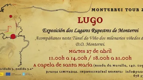 T&uacute;nel Lugo
