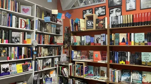 dia do libro- libreria