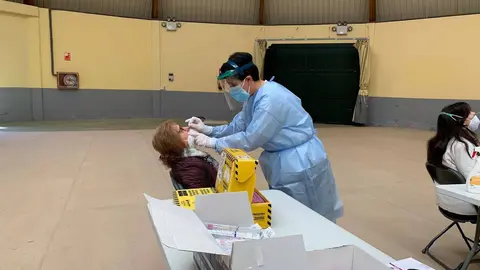 Ver&iacute;n-cribado