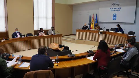 Comisi&oacute;n 3&ordf;, Econom&iacute;a, Facenda e Orzamentos, celebrada o 21 de maio de 2021