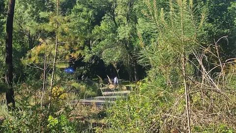 En la imagen, al fondo, se aprecian varios veh&iacute;culos policiales y sus agentes. | FOTO: M. Ceballos.