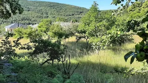 Lugar donde se ubicar&aacute; la residencia de Lubi&aacute;n.