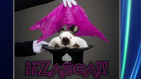 Cartel del espect&aacute;culo