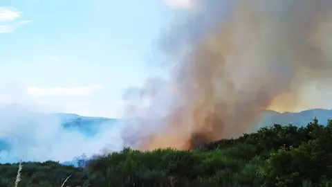Incendio en Santa Baia de Montes (Cualedro)