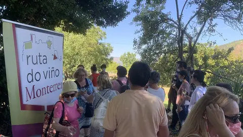 Grupos de visitantes ao castelo de Monterrei proban os vi&ntilde;os da D. O. | FOTO: M. D.