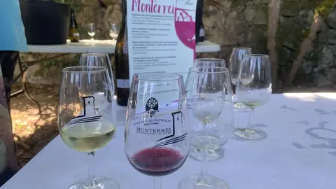Vinos de Monterrei en la feria de 2021.