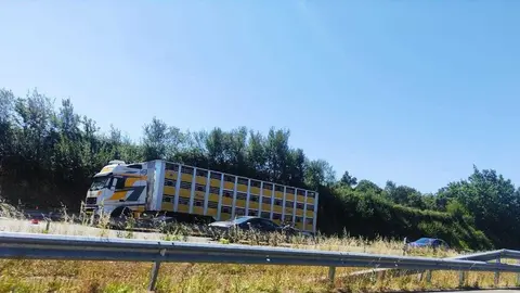 O tr&aacute;iler que transporta gando porcino avariado na A-52 &aacute; altura de Ri&oacute;s. | FOTO: M. Ceballos