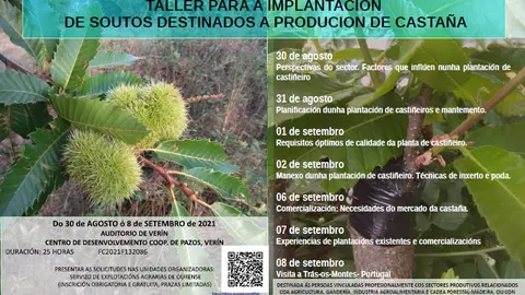 Cartel promocional do primeiro taller destinado &aacute; produci&oacute;n da casta&ntilde;a e coidado do casti&ntilde;eiro impartido a vindeira semana en Ver&iacute;n.