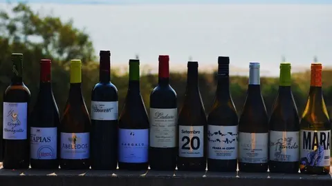 Alg&uacute;ns dos vi&ntilde;os da D. O. Monterrei.