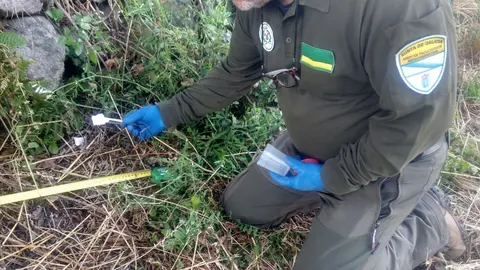 Investigaci&oacute;n de la UIFO.