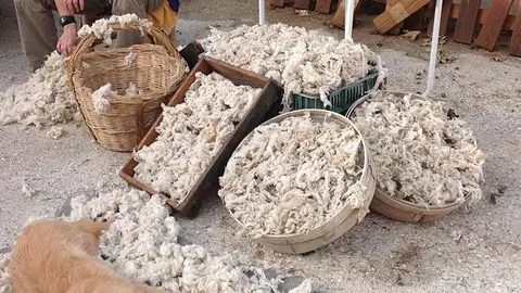 Procesado artes&aacute;n da l&aacute;, unha das actividades enmarcadas en Pedra: Festival de Saberes celebrado en Ri&oacute;s.