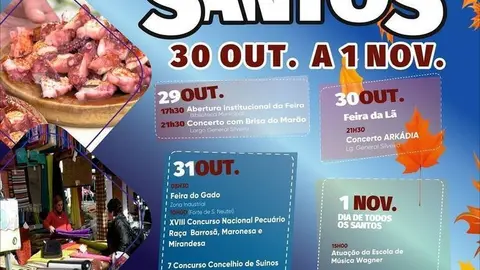 cartaz_santos_azul_1_1024_2500