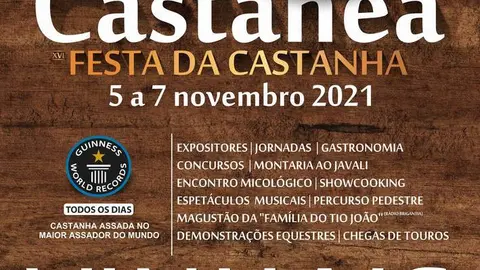 Cartel promocional de la fiesta de la casta&ntilde;a de Vinhais.