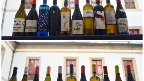 Los 21 vinos que participaron en el T&uacute;nel del Vino en Ferrol.