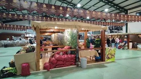 La Fiesta de la Casta&ntilde;a se celebr&oacute; en el Parque de Exposiciones de Vinhais d&oacute;nde se instalaron m&aacute;s de 90 puestos de venta. | FOTO: Xos&eacute; Lois Colmenero