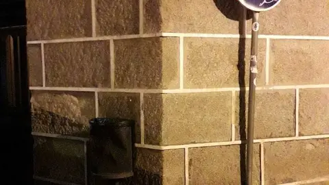 Gatos envenenados en la r&uacute;a Muralla de Ver&iacute;n.
