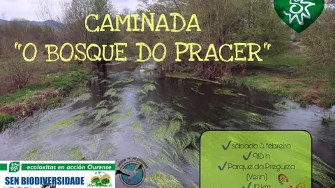 Cartel da cami&ntilde;ada.