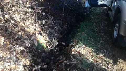 Un regato contaminado de Ri&oacute;s.