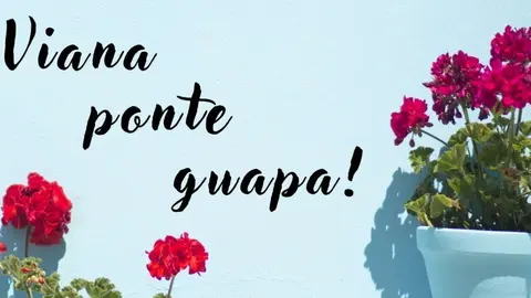 Concurso. Decoraci&oacute;n r&uacute;a. Viana. Ponte guapa (1)