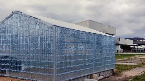 Invernadoiro do CEIP de O&iacute;mbra.