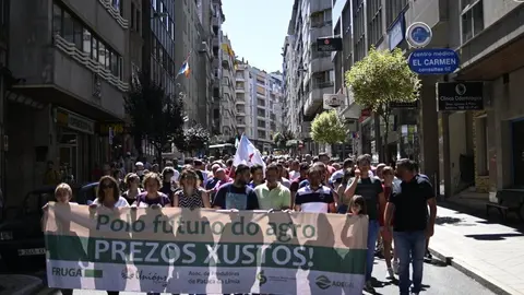 tractorada ourense (34)