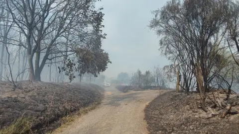 Incendio en Vilardev&oacute;s este m&eacute;rcores. FOTO X. L. Colmenero (2)