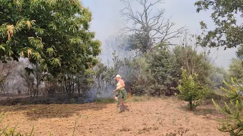 Alrededor de las 17:00 horas se declaraba un incendio en las proximidades del n&uacute;cleo de Vilardev&oacute;s. | FOTO: Xos&eacute; Lois Colmenero.